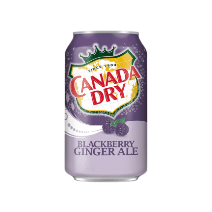 Canada Dry Blackberry Ginger Ale 330Ml